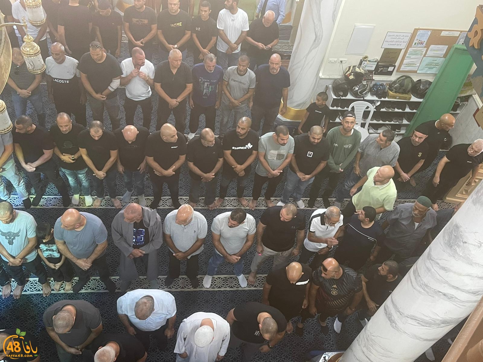 WhatsApp Image 2023-10-12 at 12.07.30 PM (1).jpeg